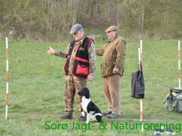Hundetræning forår 2019
